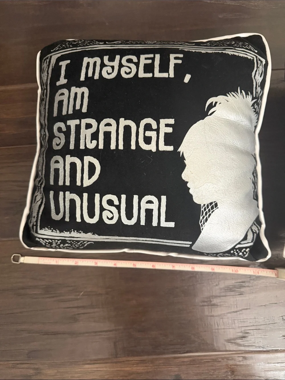 Spirit Halloween Beetlejuice Pillows Set of Two 11in x 11in